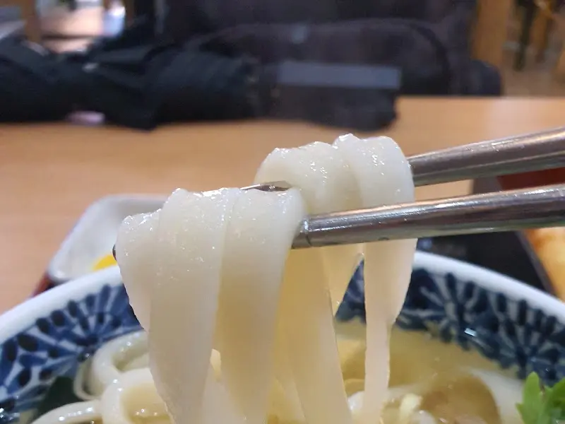 탱글탱글한 우동 면발