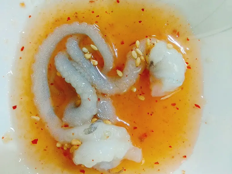 기절낙지를 막걸리 식초 소스에 찍어 먹는 모습