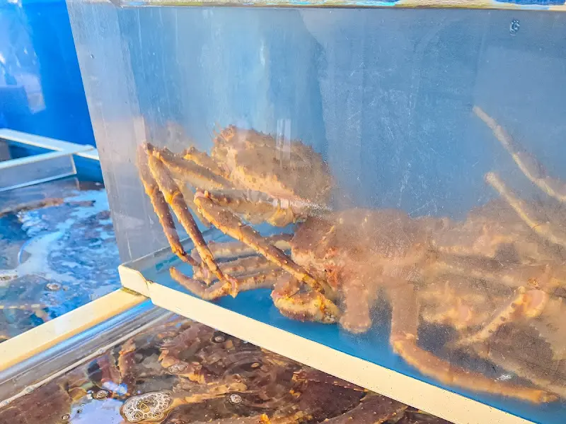 싱싱한 대게가 가득한 수족관