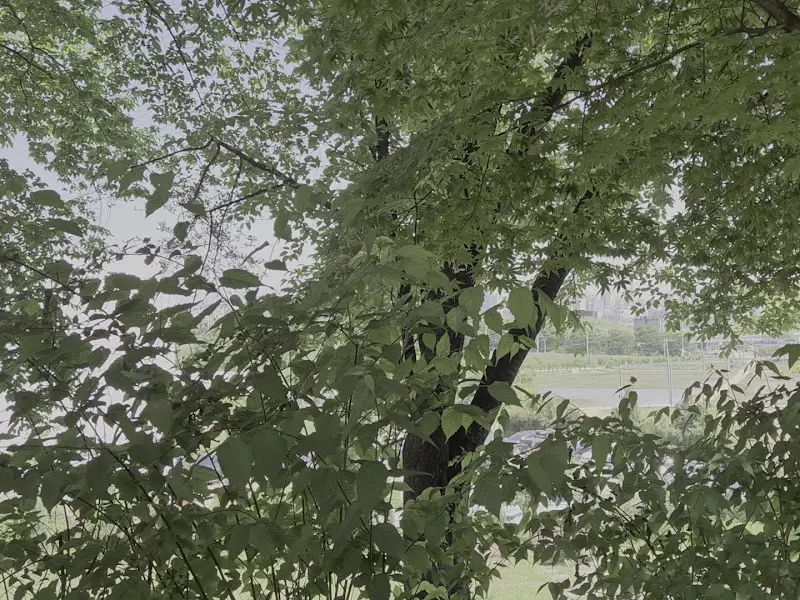 카페에서 보이는 풍경