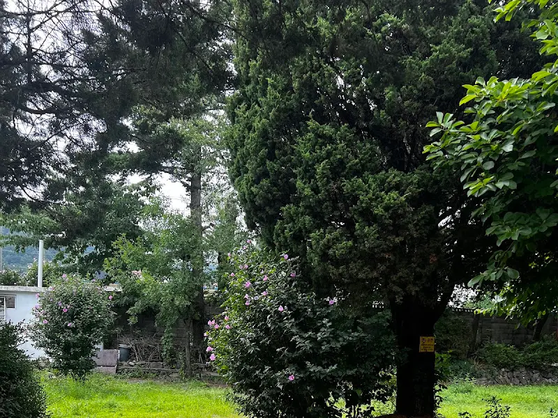 강산막국수 주변 풍경