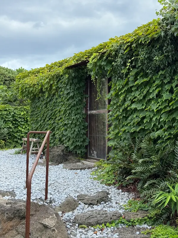 담쟁이 덩굴로 뒤덮인 외관