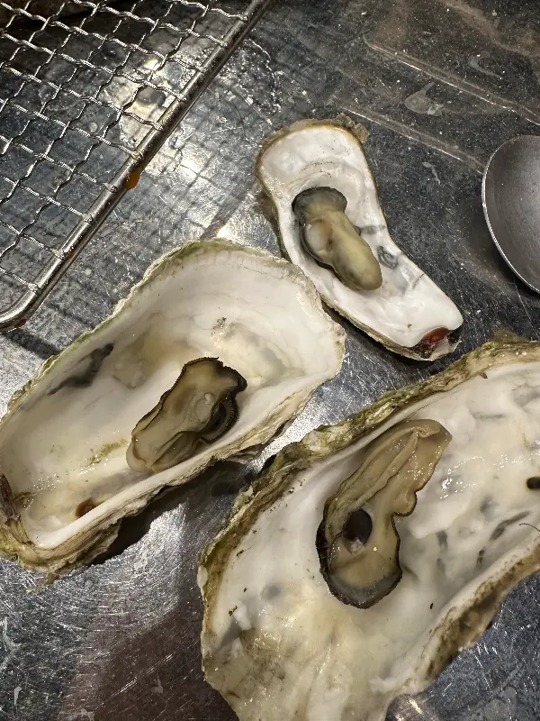 신선한 굴의 모습이 담긴 사진