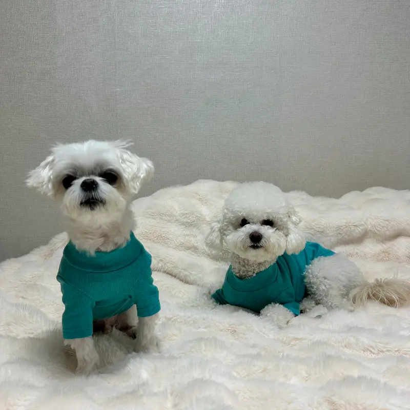 특별한 날을 더욱 특별하게 만들어주는 공간