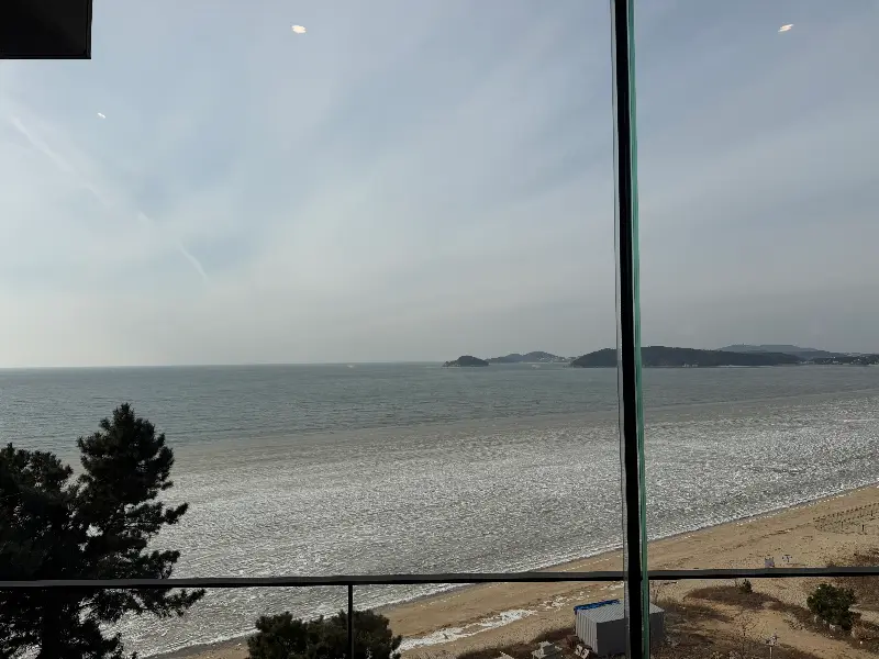 탁 트인 바다 뷰