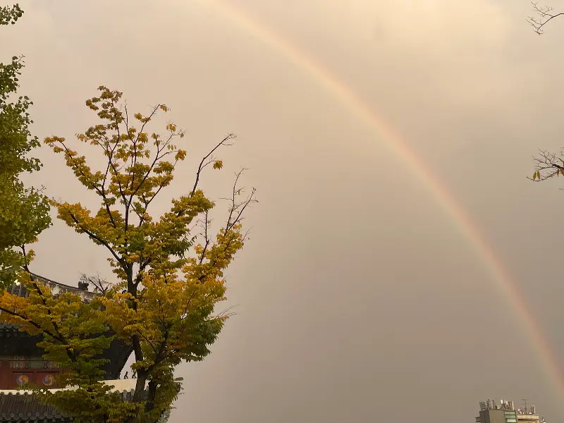 롤링파스타 메뉴