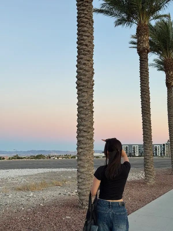 대천 해변의 노을