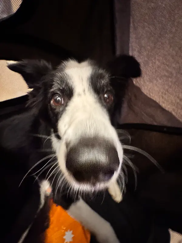 깔끔한 룸 내부