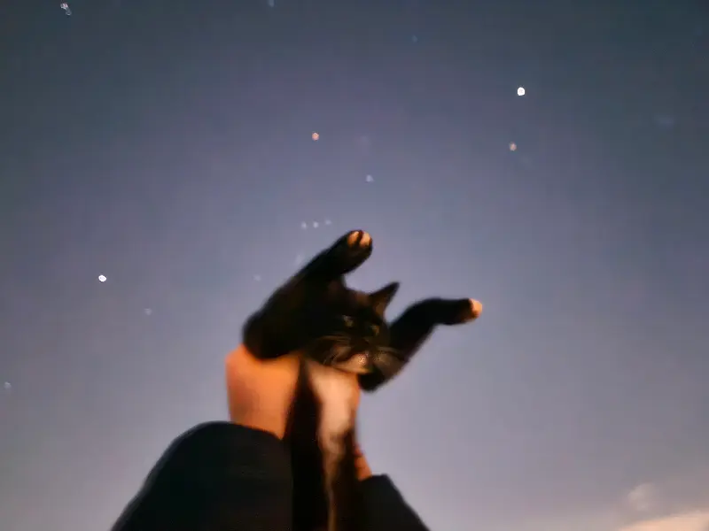 즐거운 식사시간