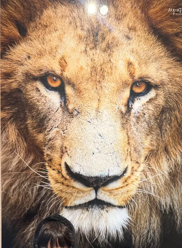 로얄인디안레스토랑 내부 모습