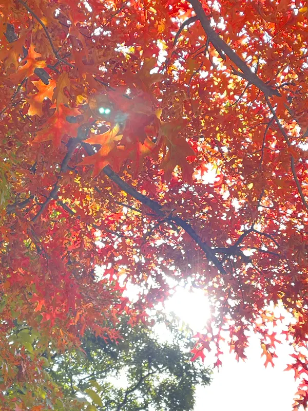 깔끔한 식당 내부