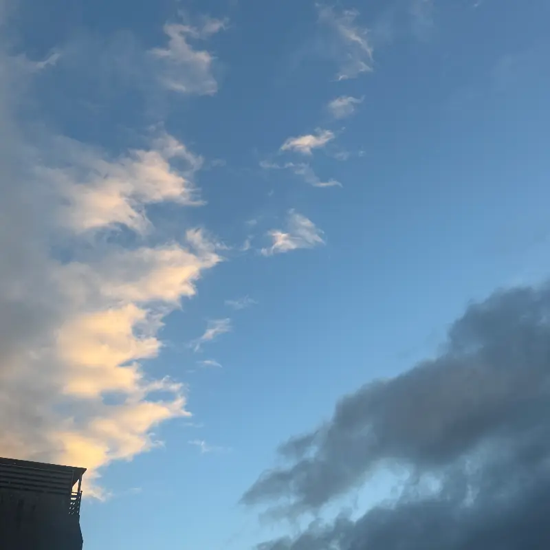 이치고이치에의 다양한 메뉴