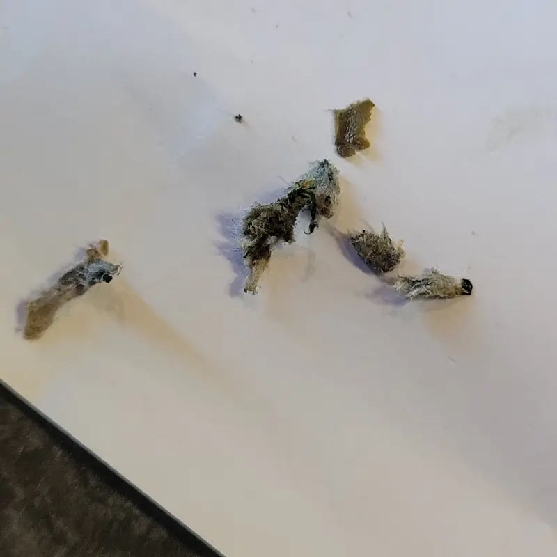 모심정 내부 인테리어