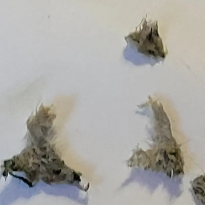 모심정에서 즐거운 식사