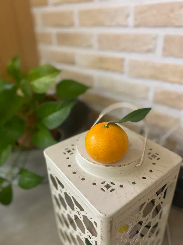 카페 남포리 소품