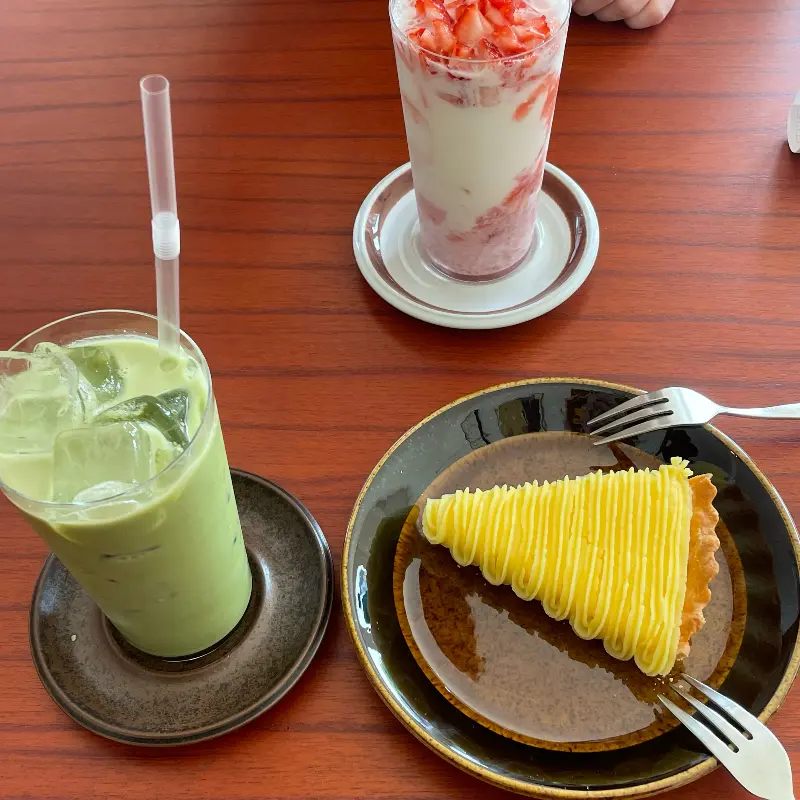 싱그러운 식물 인테리어