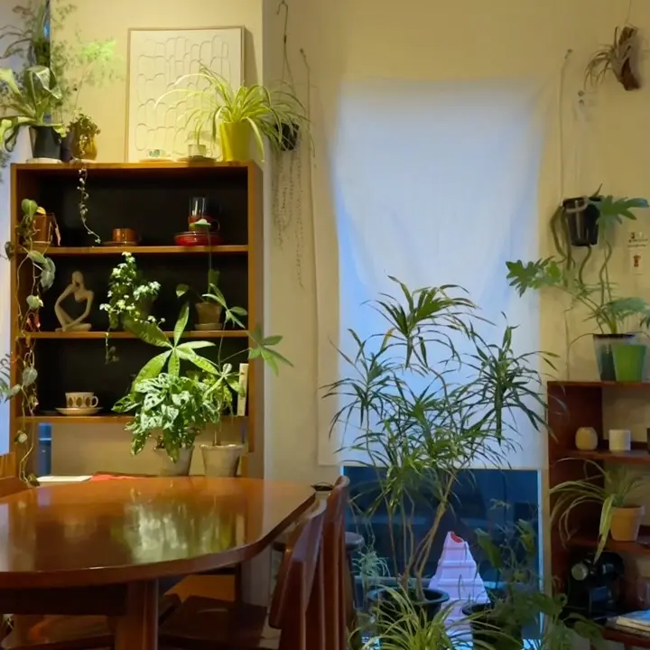 카페 소슬의 아포가토