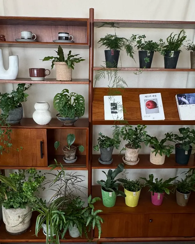 카페 소슬의 디저트