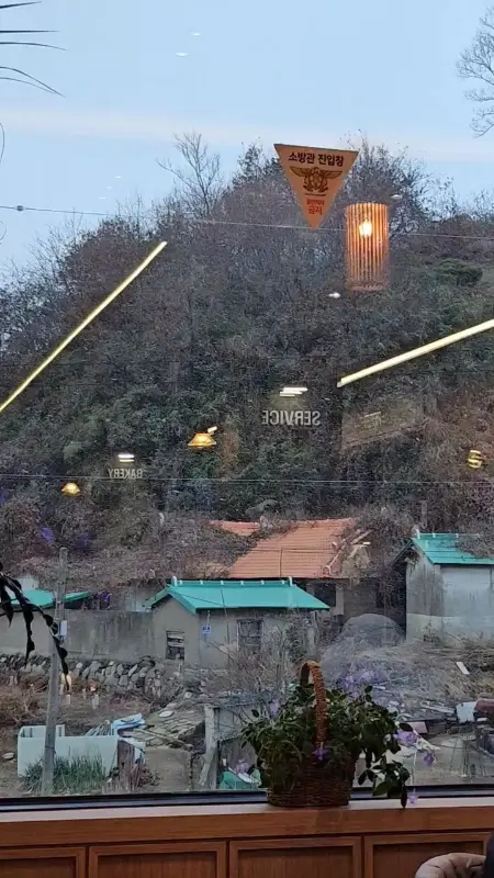 카페에서 바라본 탁 트인 논밭 뷰