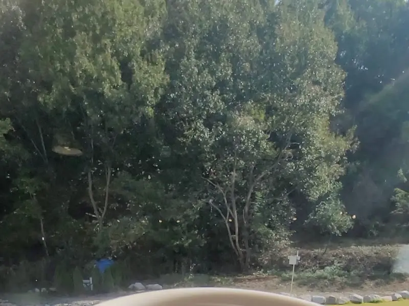 스쿠필 주변 풍경