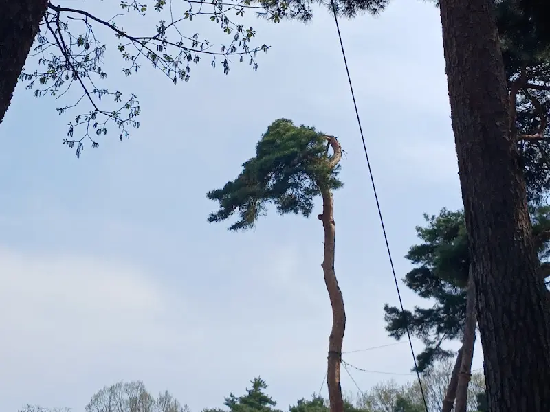 이조원 주변 풍경