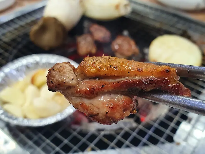 노릇하게 구워진 오리 날개