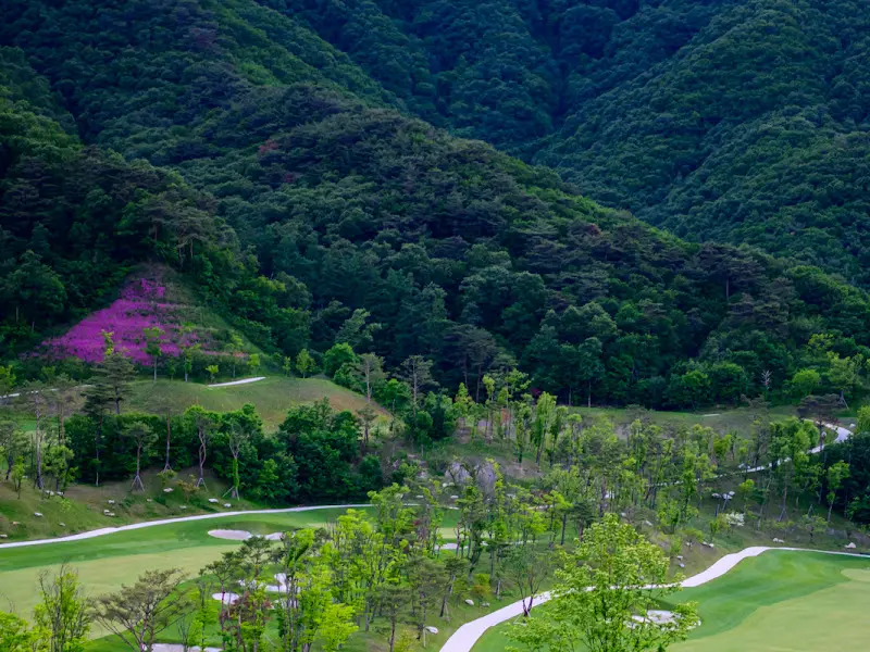 푸르른 골프장 전경