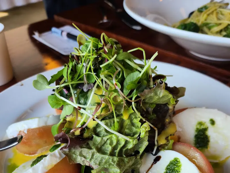 신선한 야채 샐러드