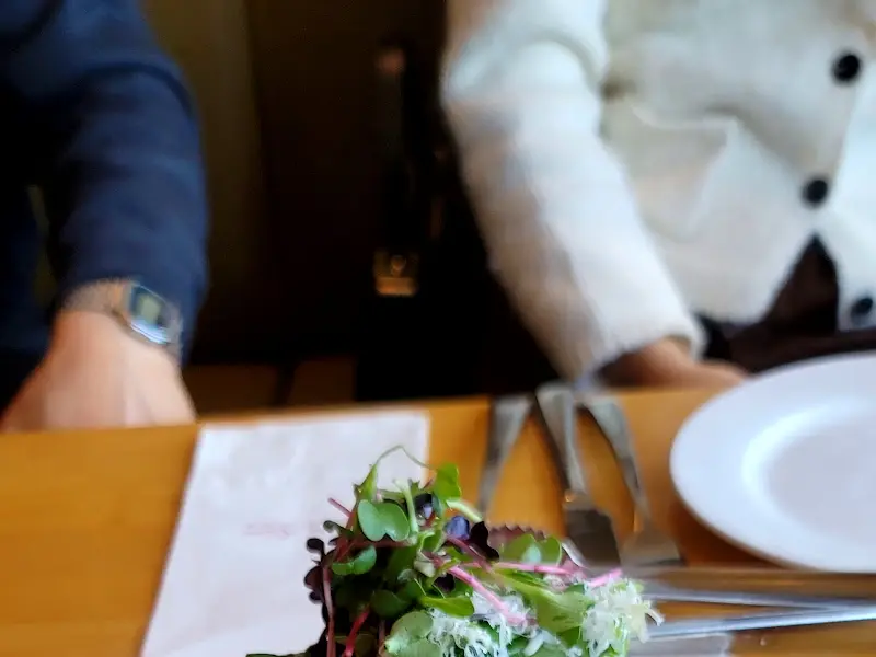 싱그러운 샐러드