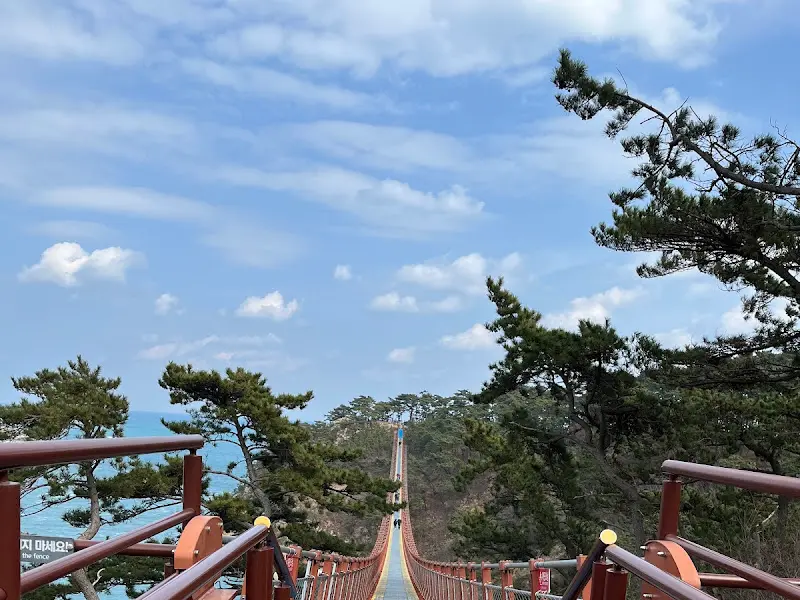 대왕암 공원 출렁다리