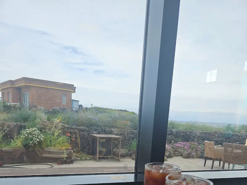 카페에서 바라본 바깥 풍경