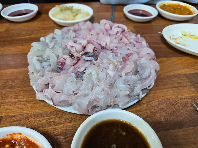 싱싱한 회의 향연