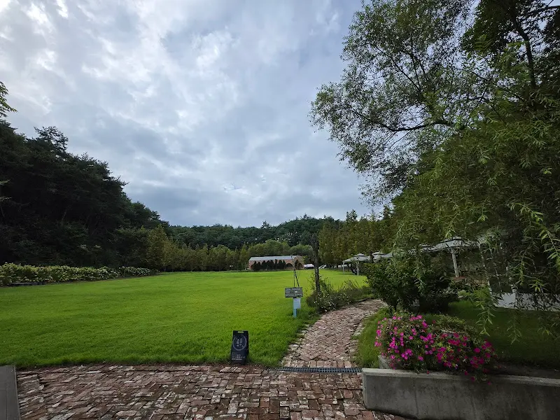 넓은 잔디밭과 주변 풍경