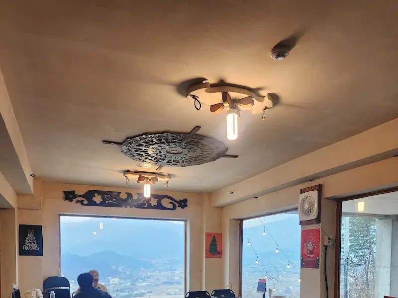 애견 동반 좌석