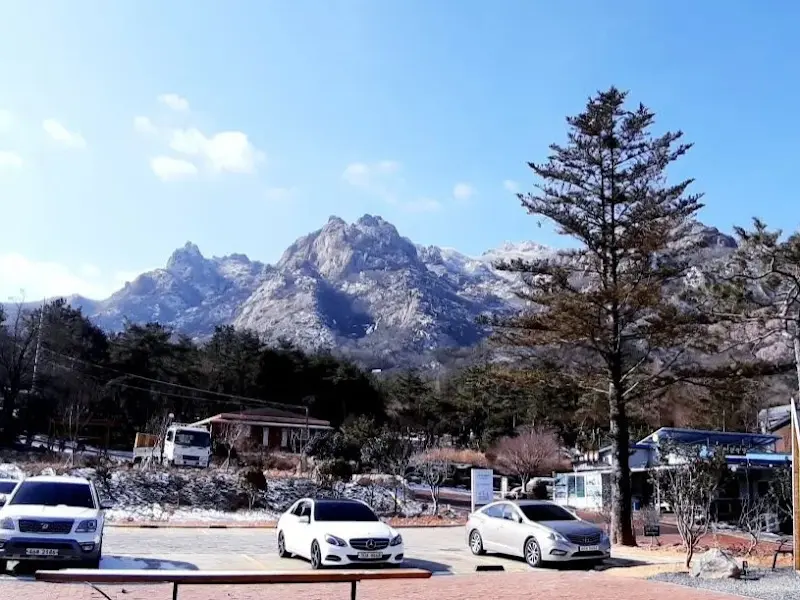 설경 속의 피크니처