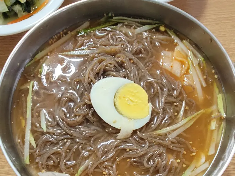 물막국수의 정갈한 모습