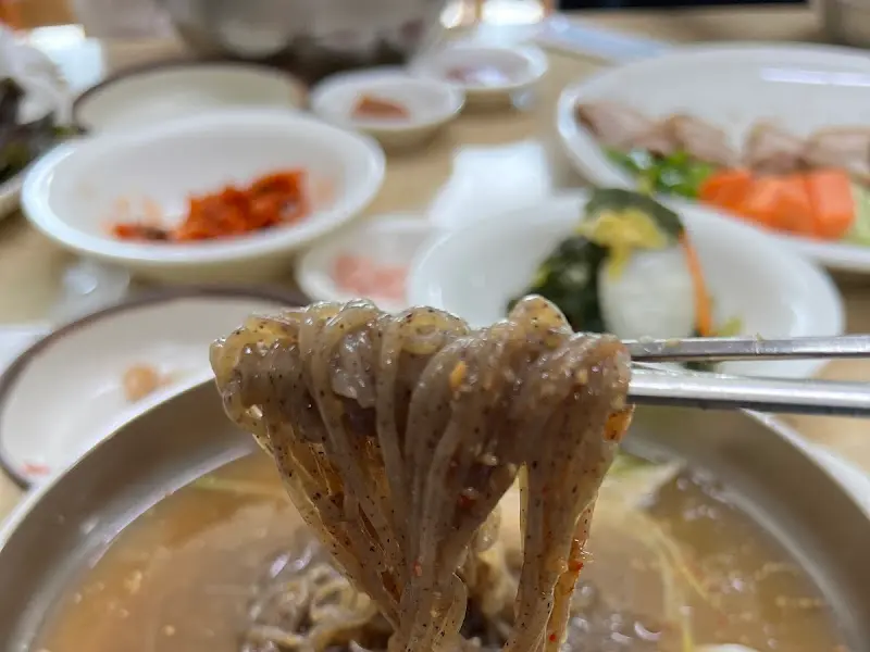 젓가락으로 들어올린 막국수 면