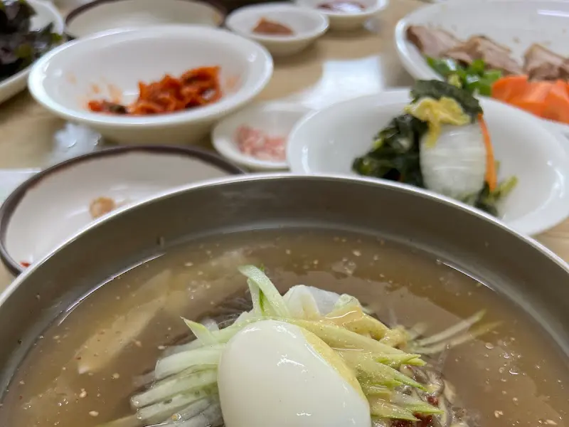 물 막국수의 클로즈업 샷