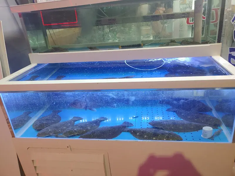 싱싱한 해산물이 가득한 수족관