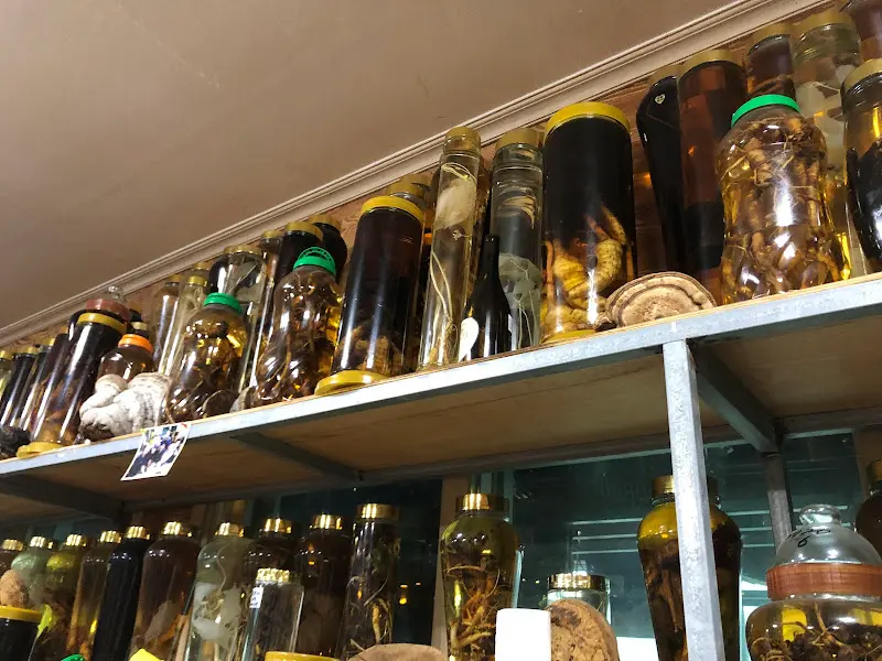 다양한 약초술이 담긴 병들이 진열된 모습