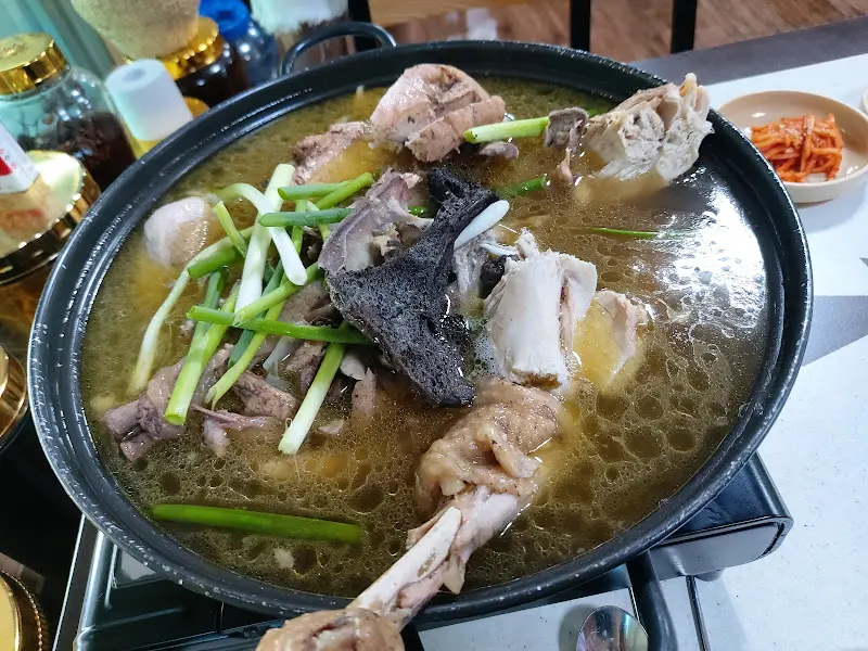 품은닭에서 맛볼 수 있는 약술