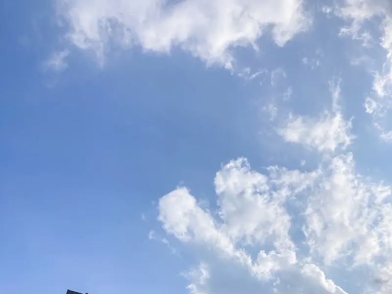 푸른 하늘 아래 펼쳐진 카페 우즈