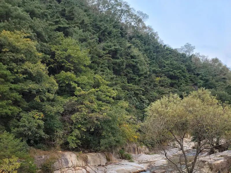 카페 옆을 흐르는 계곡