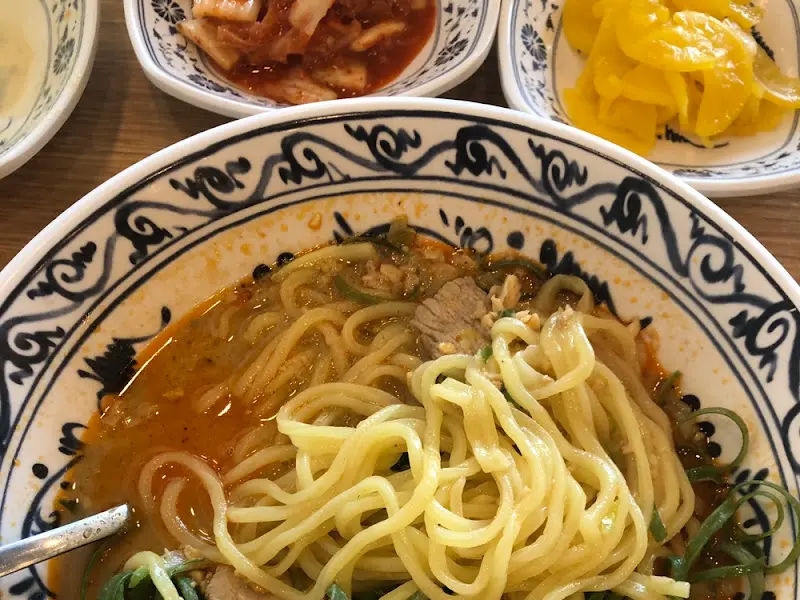 돌담땅콩국수의 고기국수