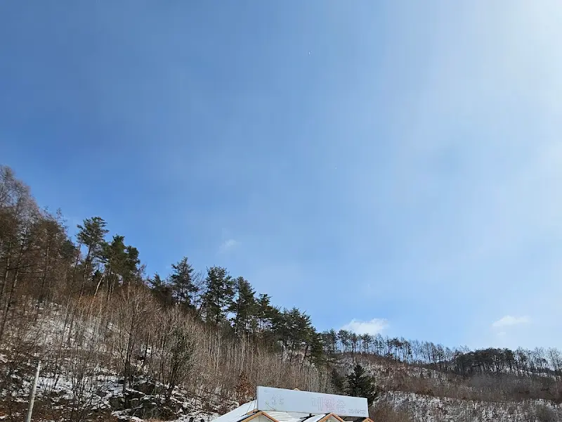 식당 주변 풍경