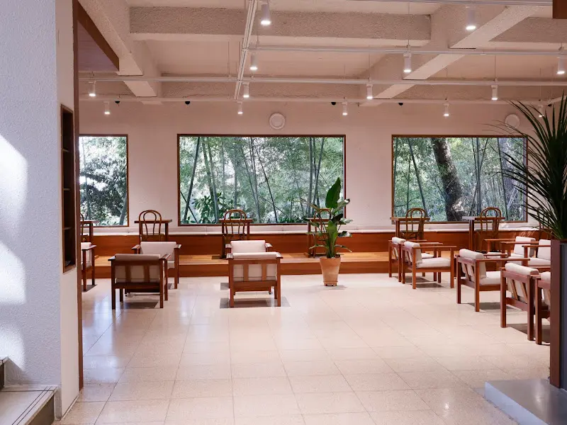 통창으로 보이는 대나무 숲