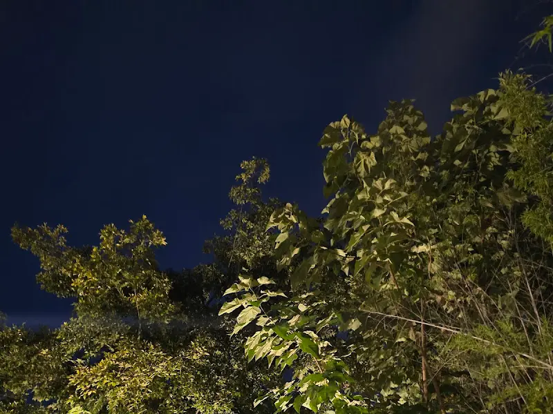 스무고개의 아름다운 야경