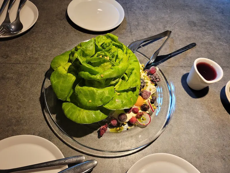 싱그러운 샐러드