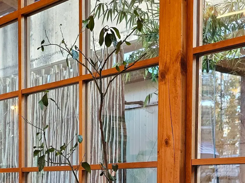 창문으로 보이는 대나무