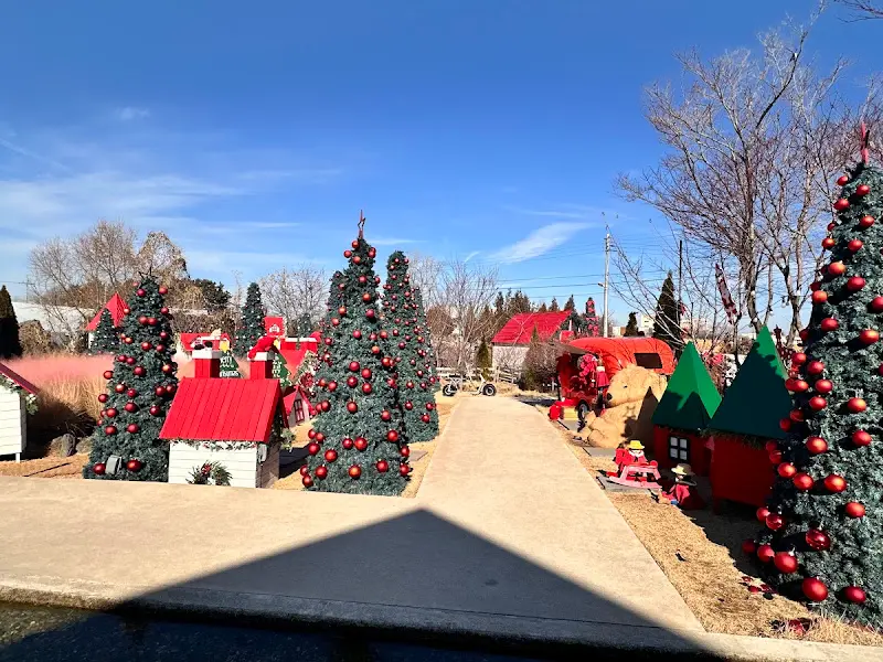 카페 오늘여기 크리스마스 장식